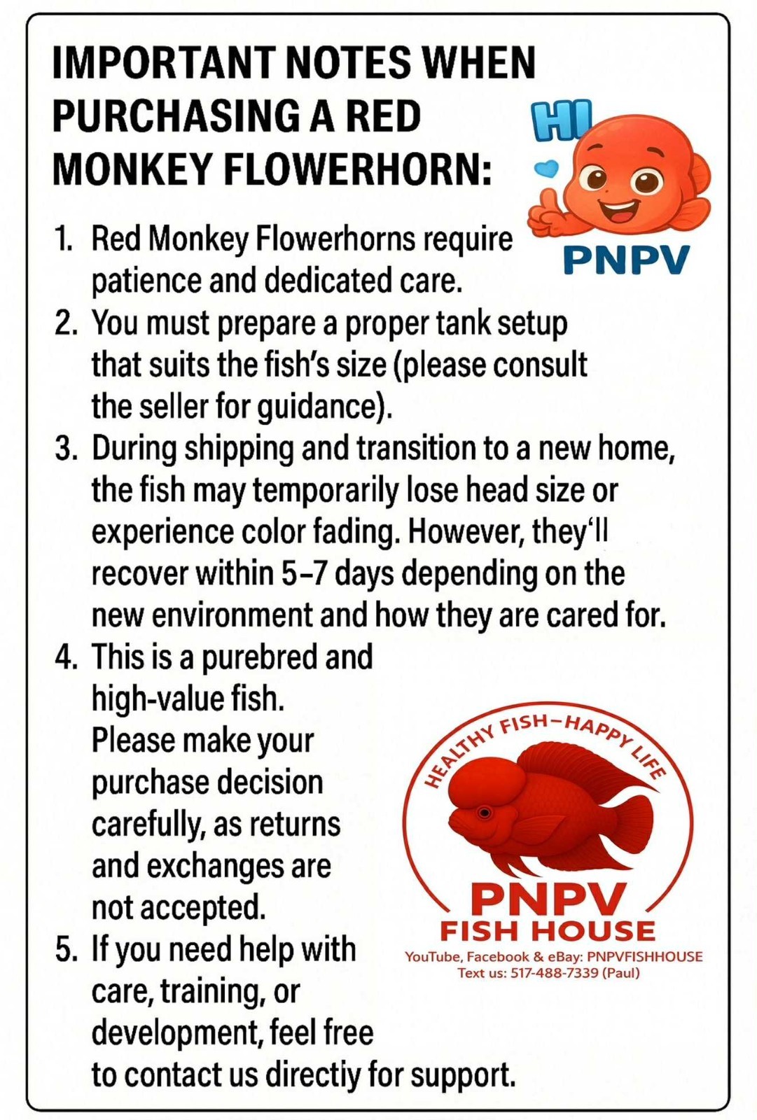 Premium Flowerhorn 1 Fry Super Red Monkey 1 inches-Buy 3 get 1 Free-A++++