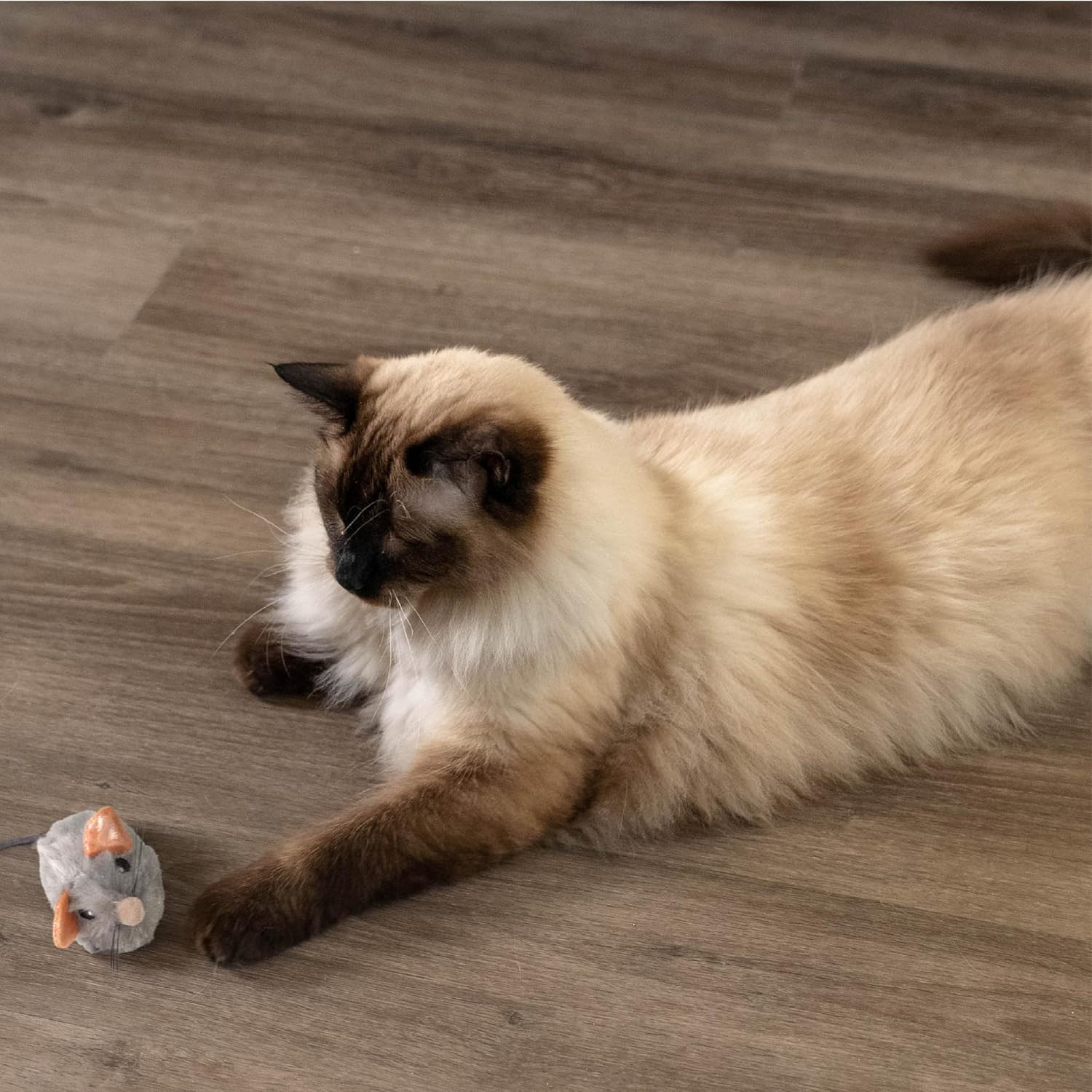 Squeak Squeak Mouse: Realistic Sound Cat Toy with Catnip Boost