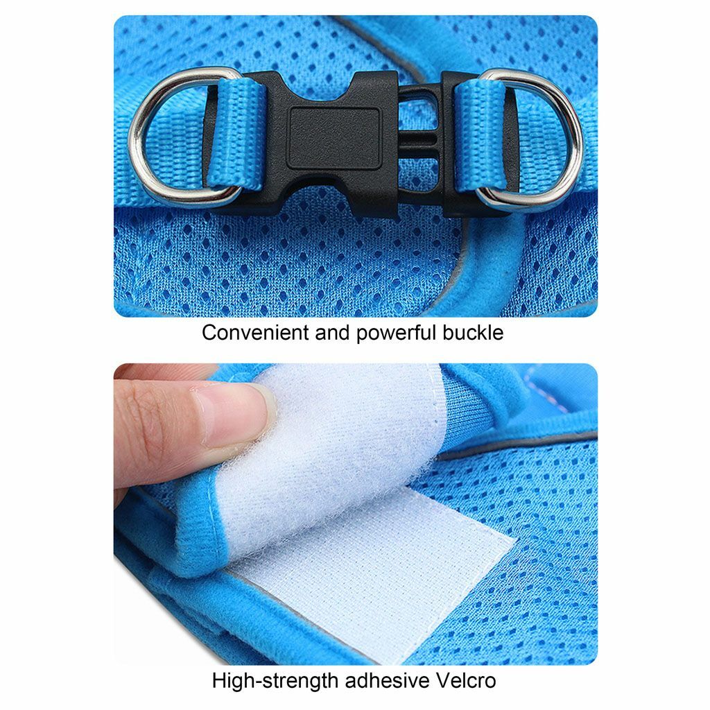 Mesh Padded Dog Harness & Leash Pet Puppy Vest for Small Medium Dogs Chihuahua