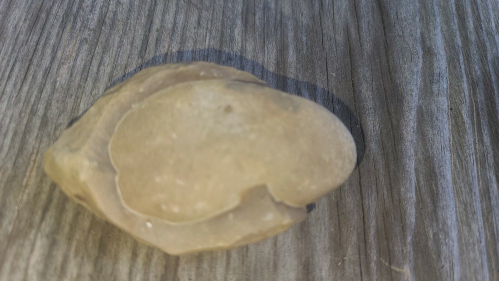 Stone (oval) embedded inside of shale