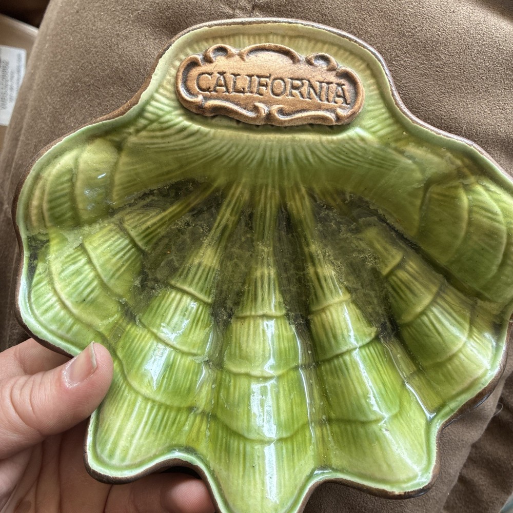 Vintage Shell Decor With California