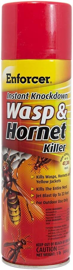 ***Instant Knockdown Wasp & Hornet Killer 16oz