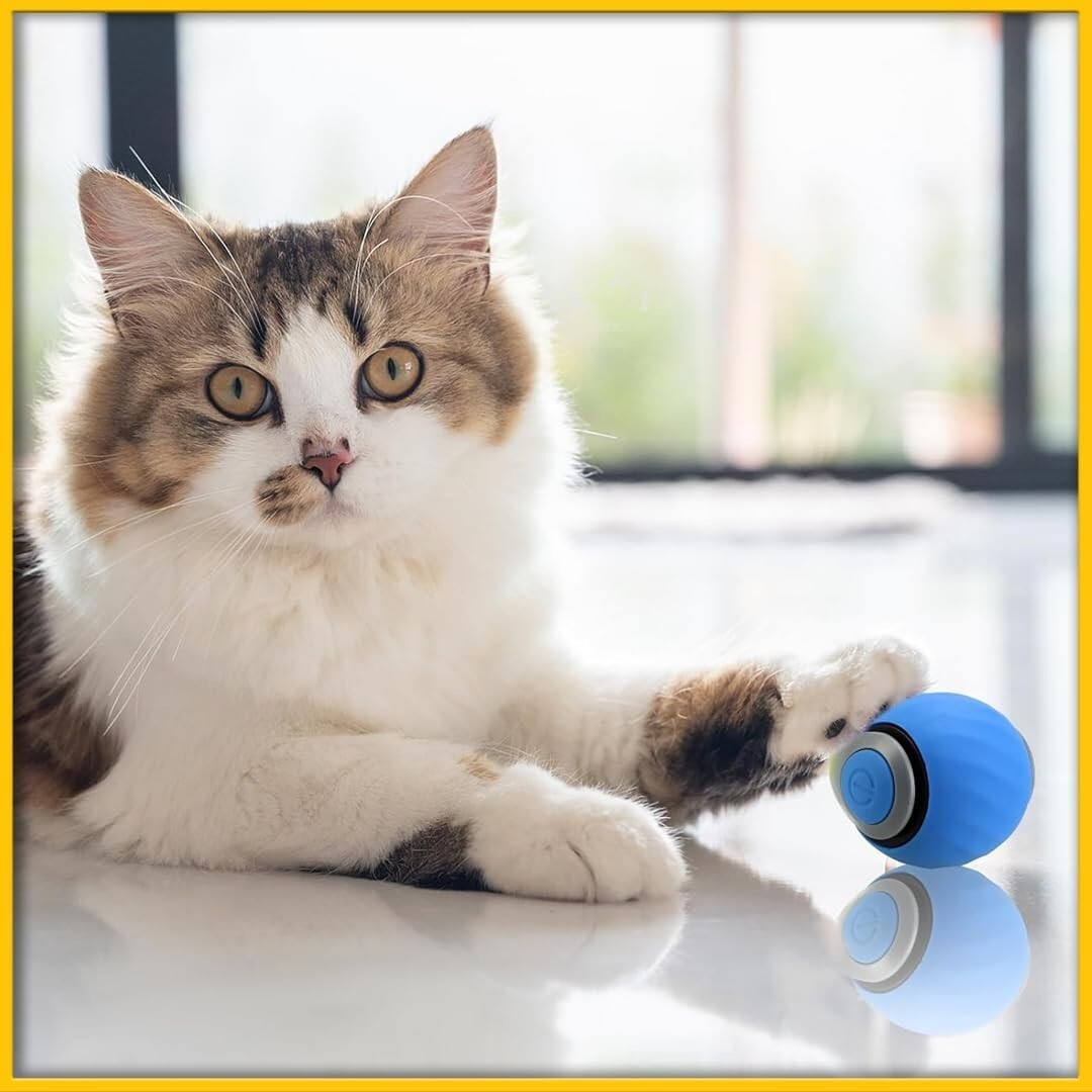 Speedy Tail 3.0 Pet Toy, 2025 New Automatic Moving Dog Balls Blue & Orange 2PCS