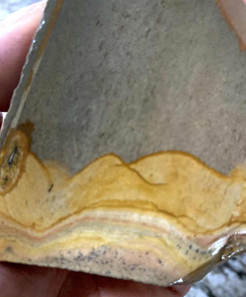 Shadow Mountain Picture Jasper Slab