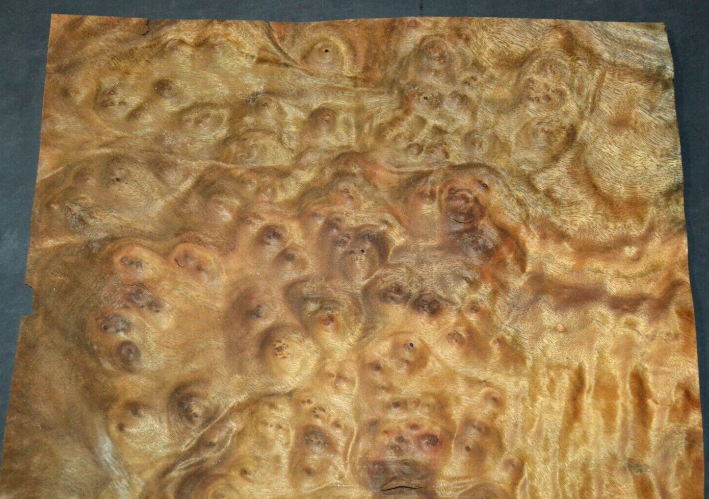 Camphor Burl Raw Wood Veneer Sheet 11.5 x 14.5 inches 1/42nd thick 4672-83