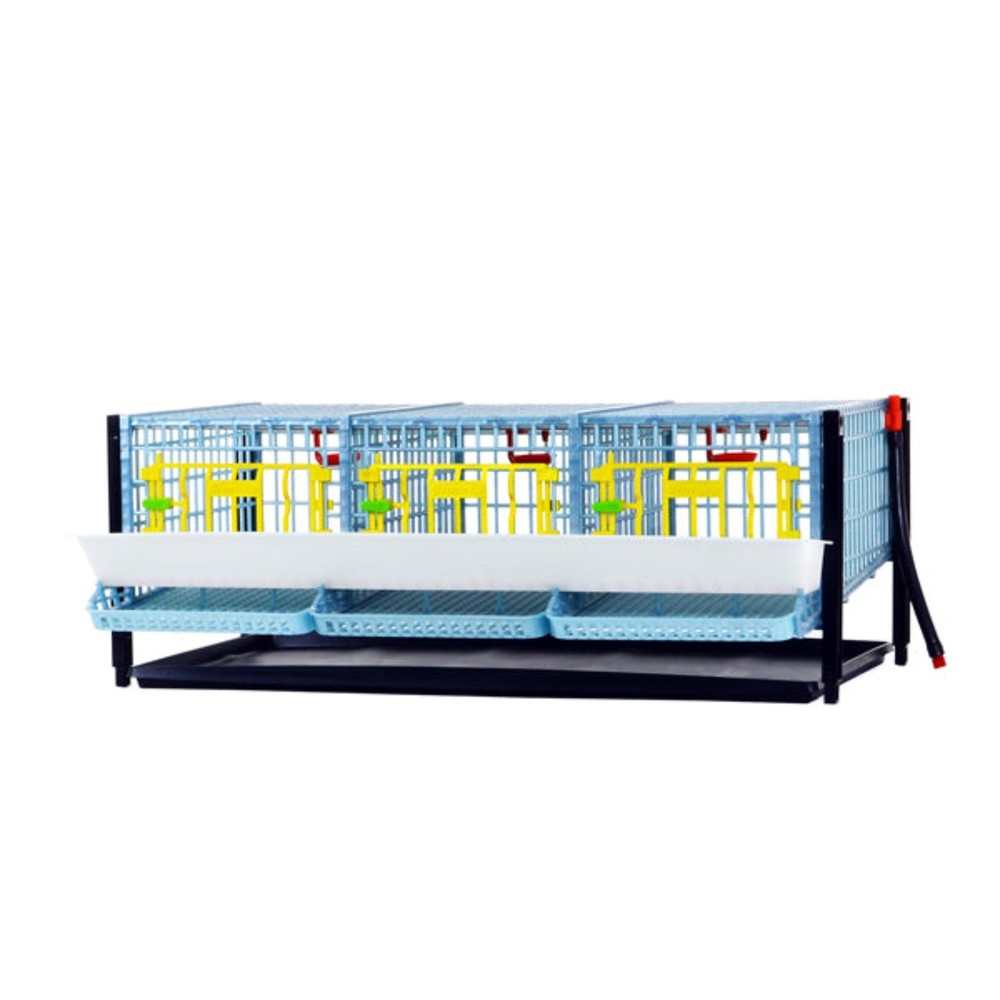 Quail Cage - Layer Addition