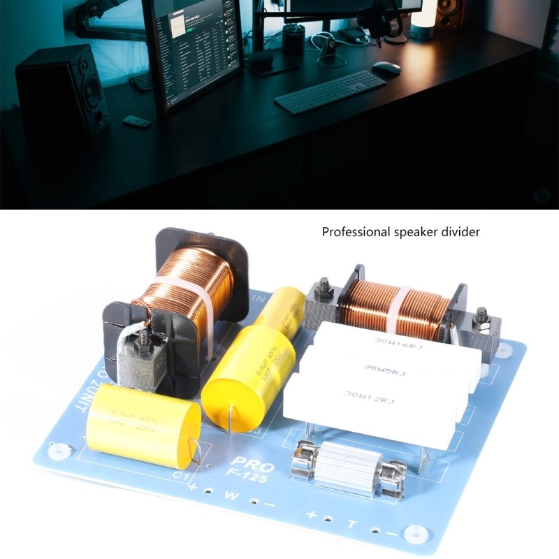 2 Way Speaker Crossover Filter High and Low Frequency Divider for Professional