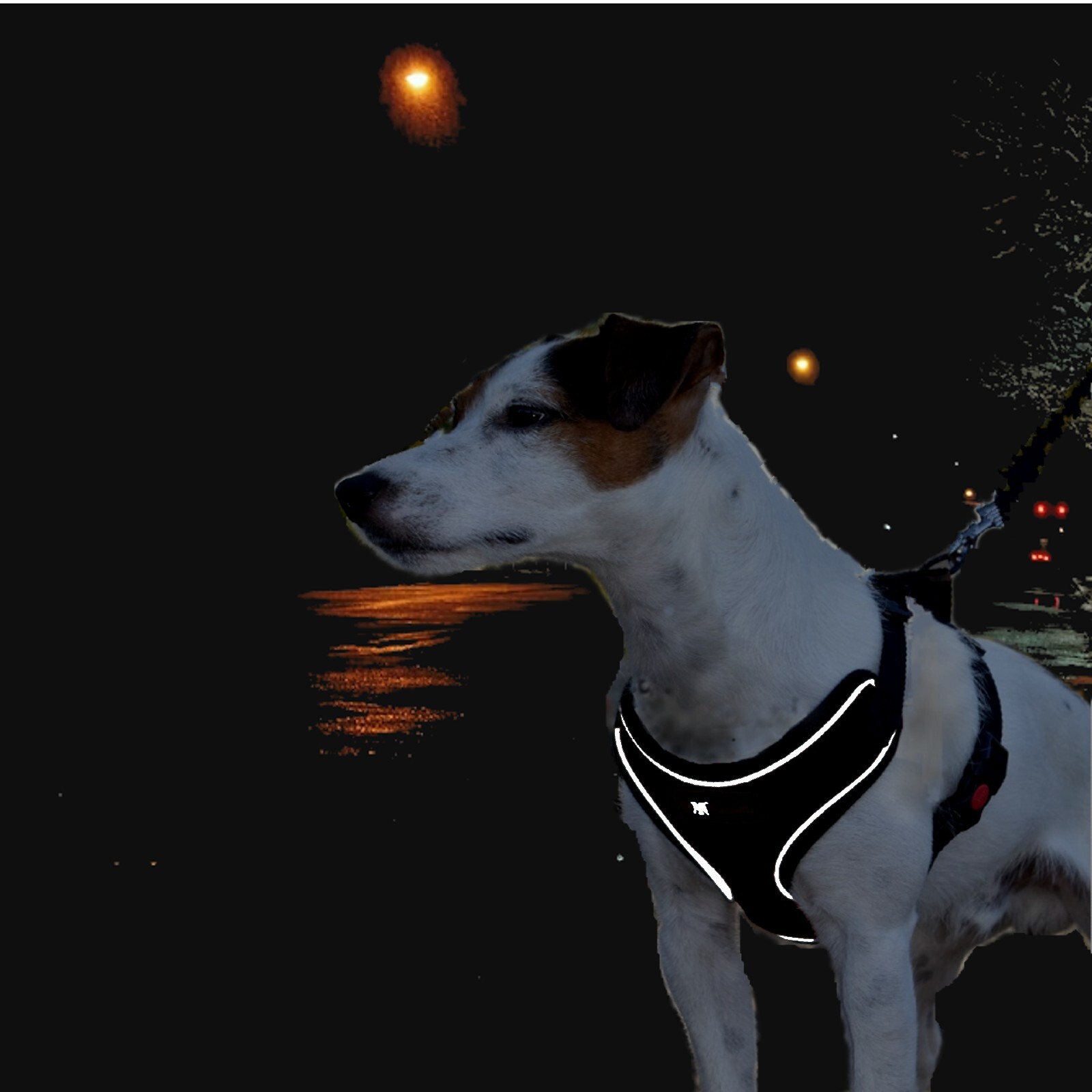 Dog Breathable Reflective Mesh Collar Harness-Travel Walk Seat Belt No Pulling