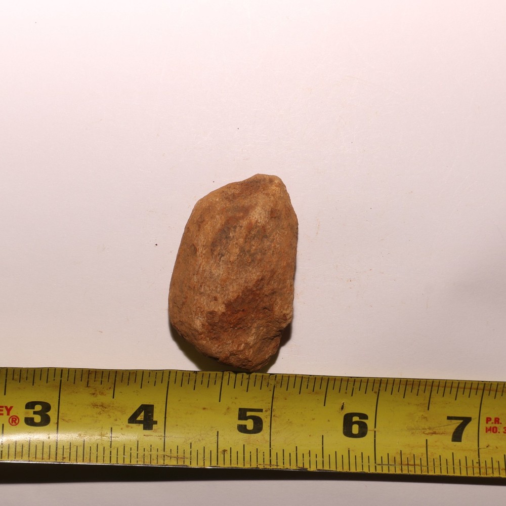 Dinosaur Scute Node - Hell Creek Formation - Nice - CRETACEOUS