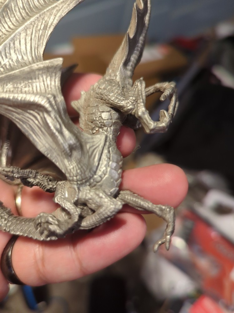 Tom Meier Dragon Rider