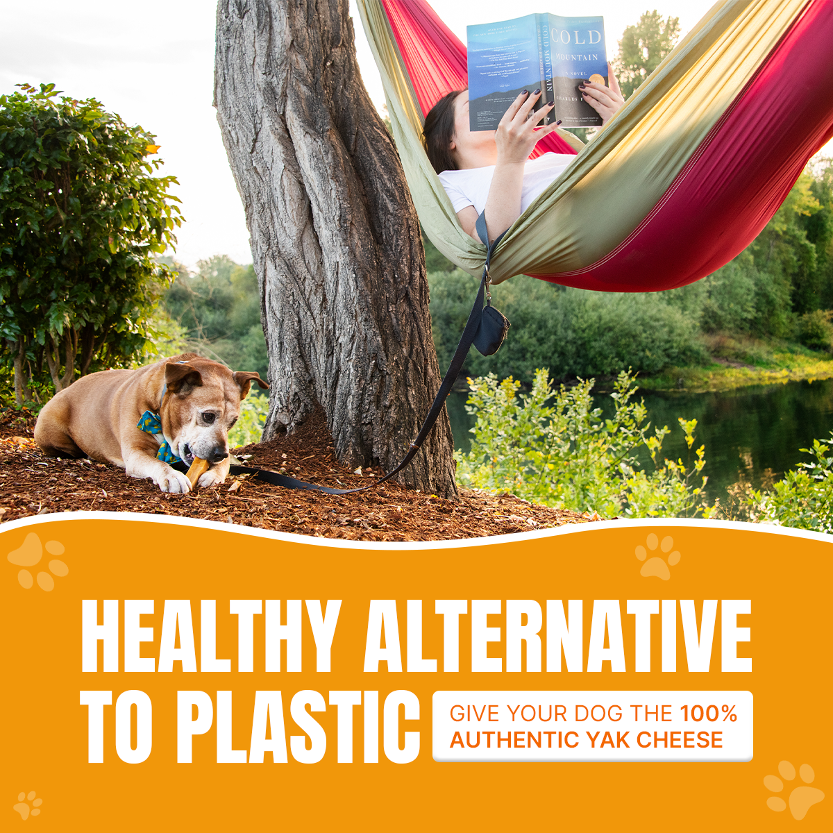 3 lbs HIMALAYAN YAK Cheese CHEW for Dogs of All Size - Natural and Long Lasting