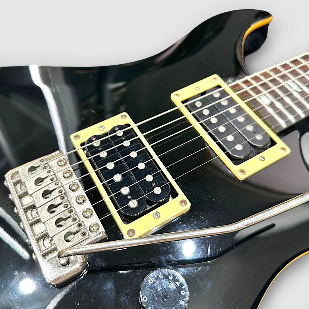 Paul Reed Smith PRS SE CUSTOM 24 (2012 model) - Modification required.