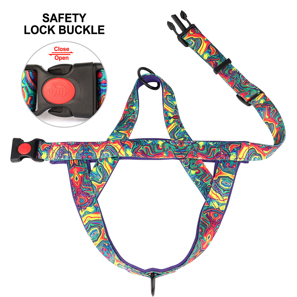 No Pull Dog Harness Nylon Soft Padded with Front Clip for Small Medium Large Dog