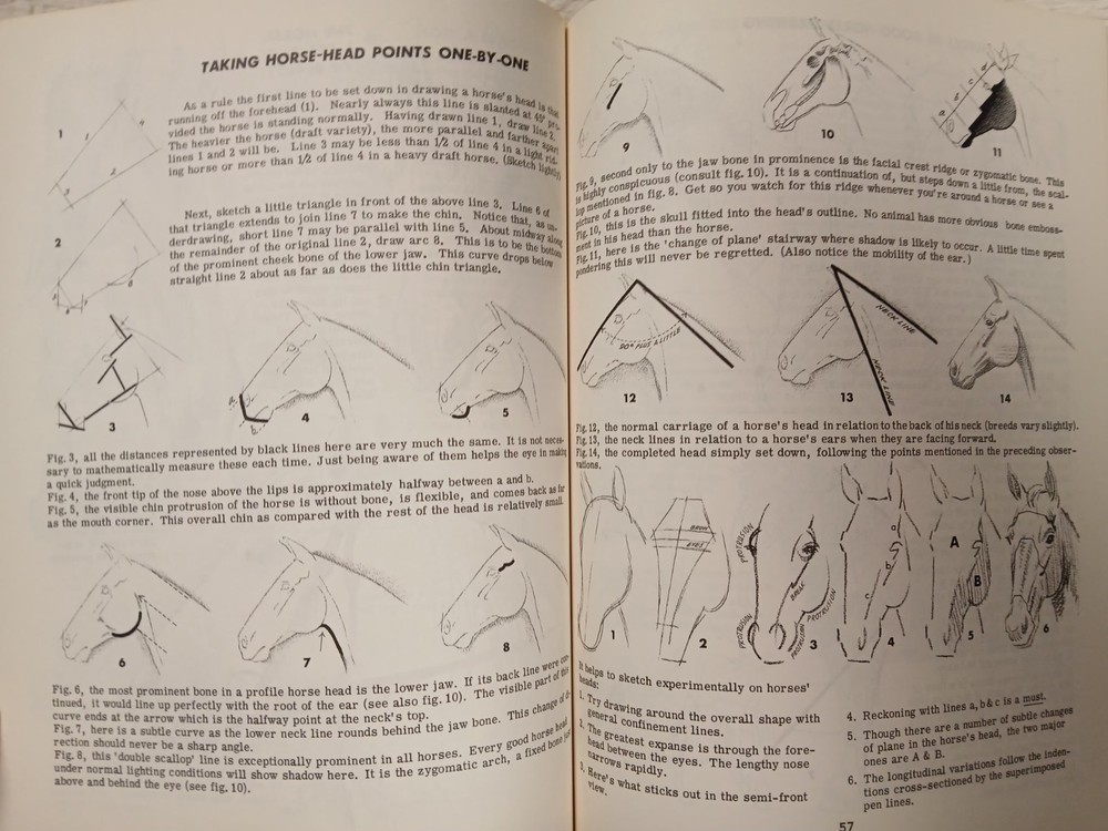 How To Draw Animals by Jack Hamm Paperback 1969