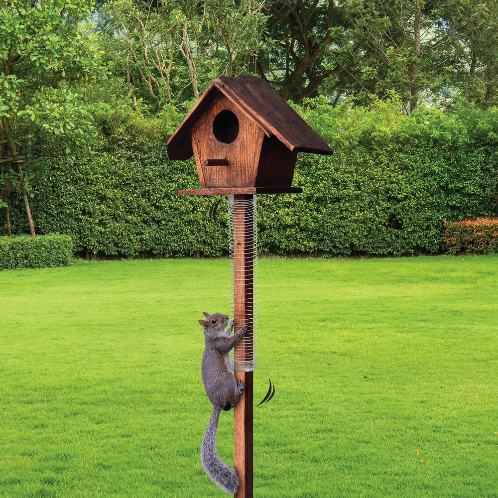 Scram, Squirrel by , Squirrel-Proof Bird Feeder Accessory that Guards Bird Se...