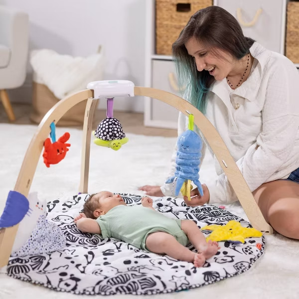 Melissa & Doug Ocean Easy Fold Wooden Play Gym For Infants to 9mo Reversible Mat