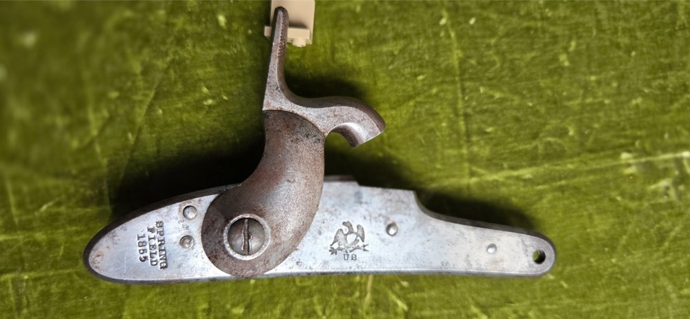 Percussion Lock Springfield Model 1855