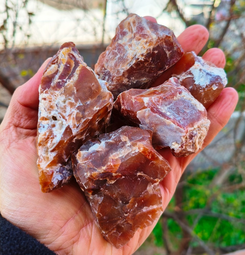 5 Specimens Raw Red Chalcedony Lot