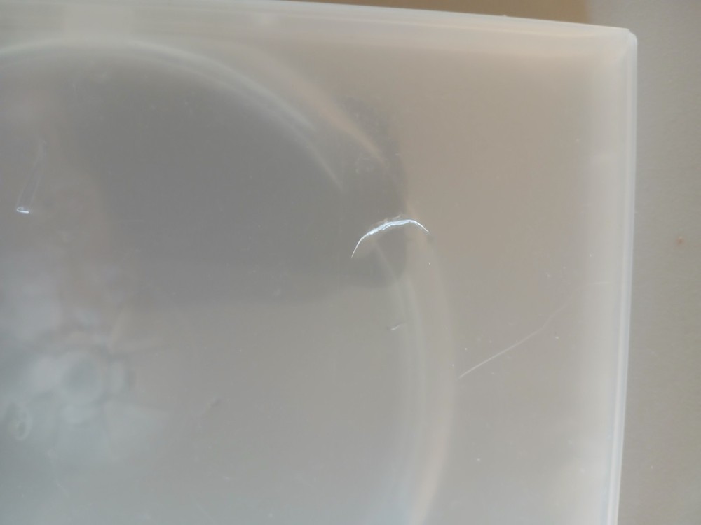 REPLACEMENT DVD CASE CLEAR HOLDS SINGLE DVD