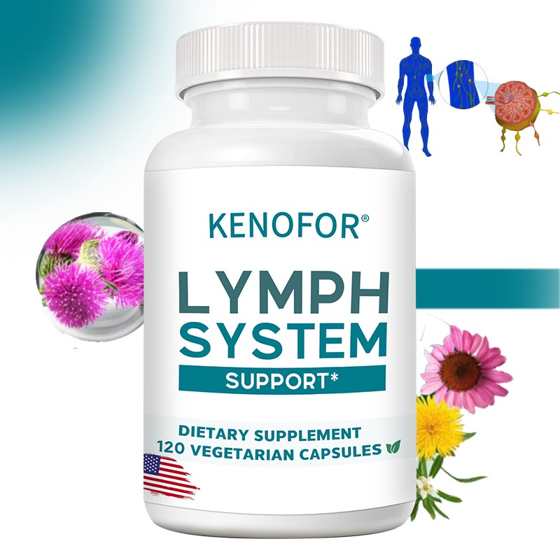Lymphatic system support, lymphatic drainage and purification support