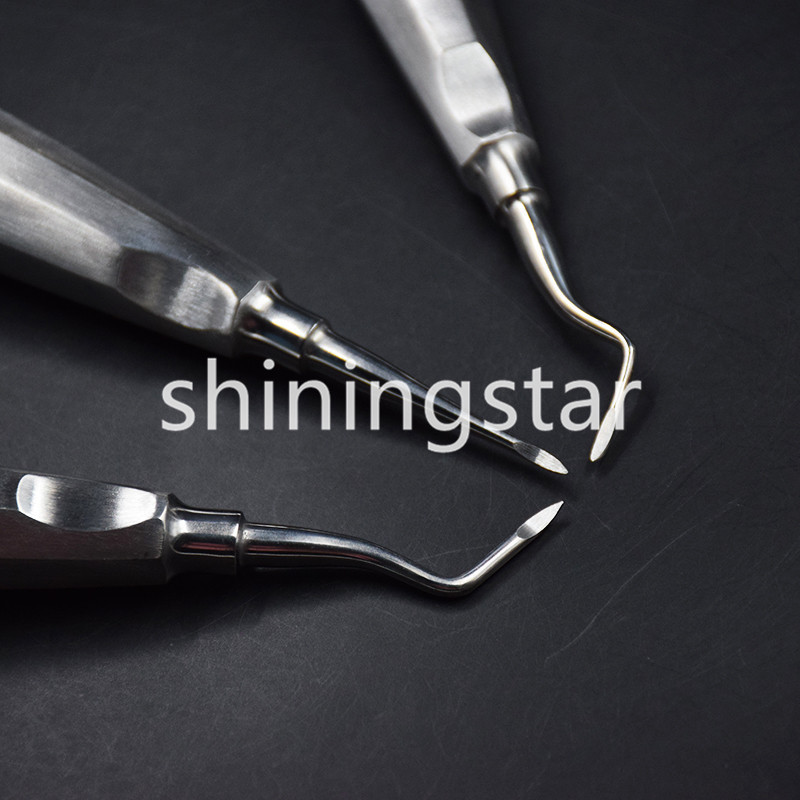 6 Pcs Dental Apical/Apex Elevator Extraction Root Elevator Left/Right/Straight