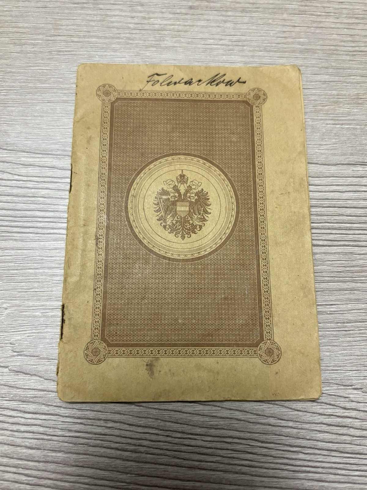 Antique Vintage Expired Austrian Hungarian Empire Documents 1910s Expired Visas