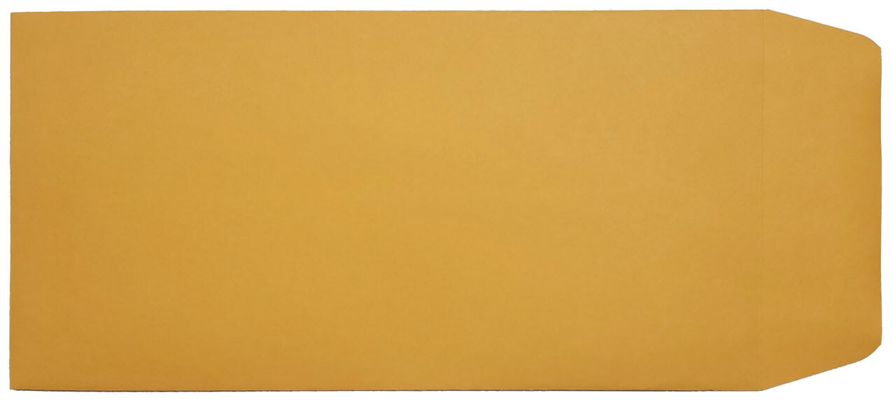 License Plate Envelopes - Blank, Moist Seal, Brown Kraft (Package of 100)