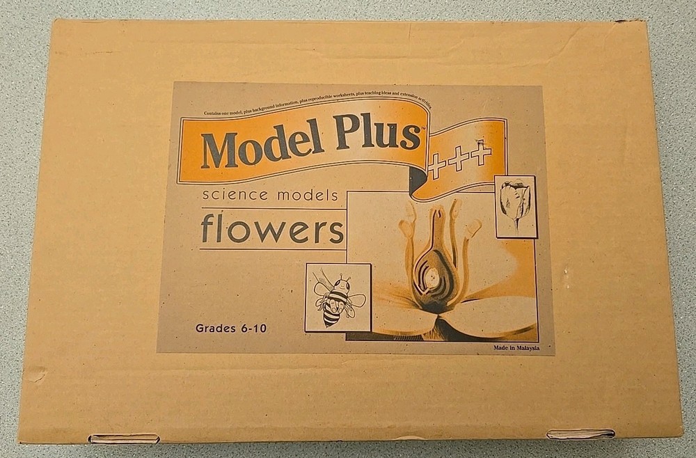 Model Plus Science Models Flowers Classroom Foam Model with Teacher's Notes