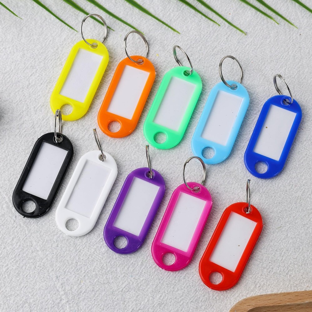 SallyFashion 50 PCS Plastic Key Tags with Split Ring, Label Medium, Multi