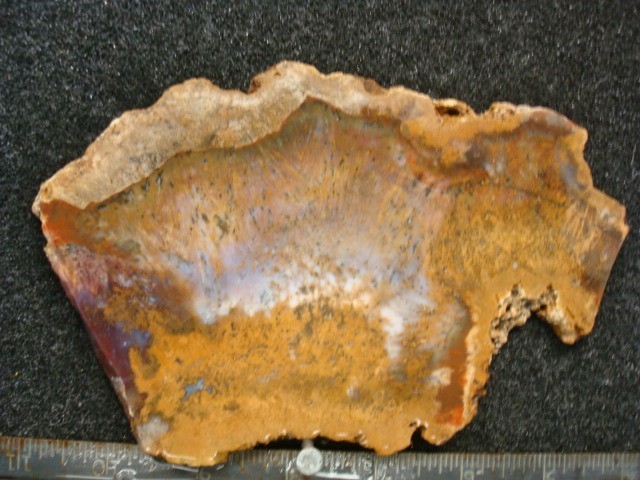 colonia enriquez slab mexico #2