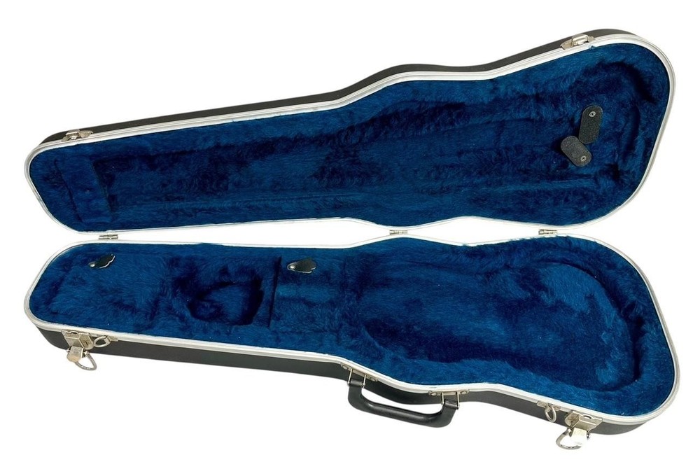 SKB Black Violin Case