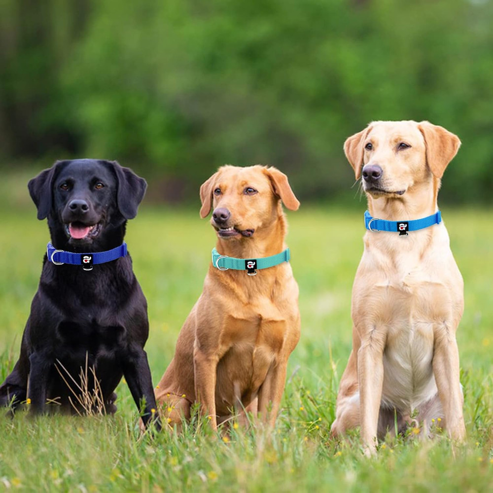 3 Pack Dog Collars Comfortable and Adjustable Nylon Dog Collars for for Small Do