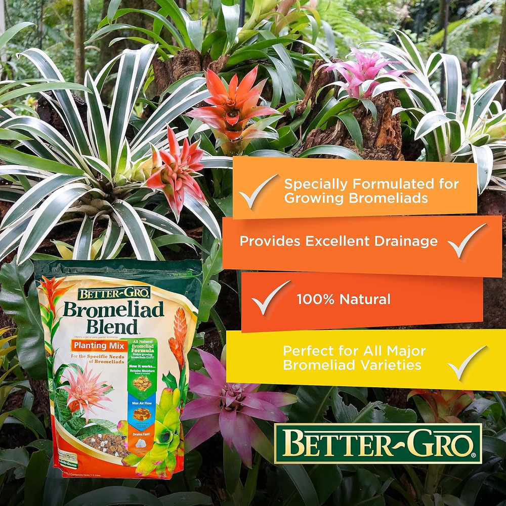 Bromeliad Blend 8 Quart