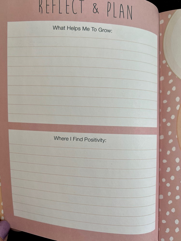 Mom Time Self Care Guided Journal by Punch Studio