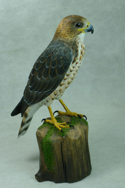 Broad-winged Hawk Original Wood Carving