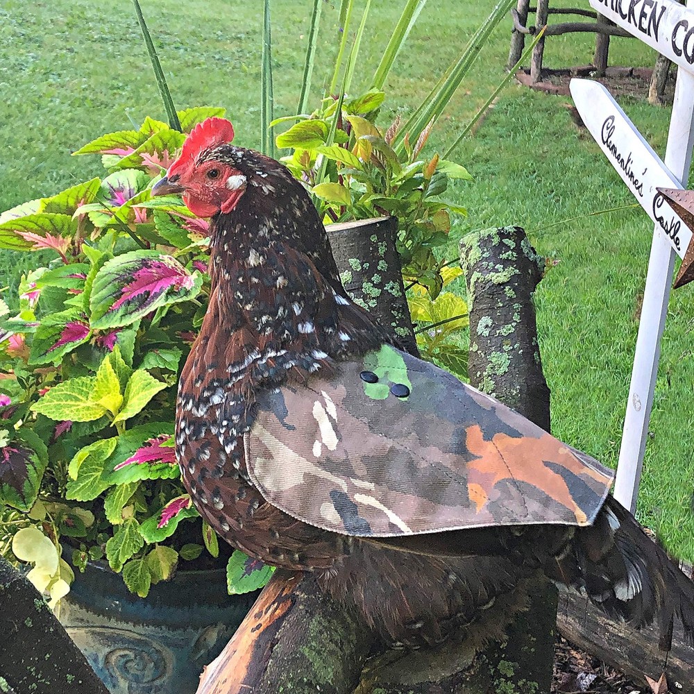 ® Hen Mating Saddle Standard…