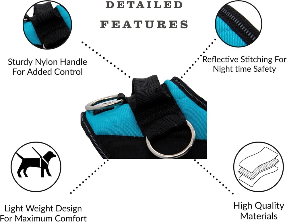 Basic Dog Harness with Anti-Pulling Design and 3 Leash Hooks