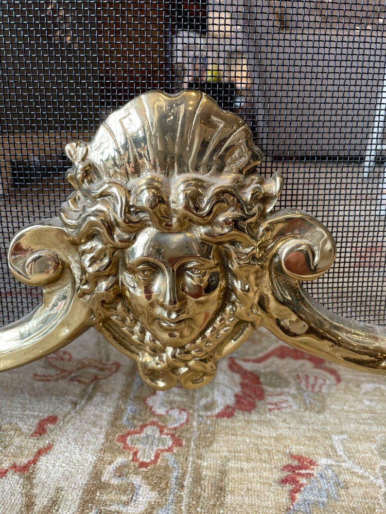 French Rococo Fireplace Screen