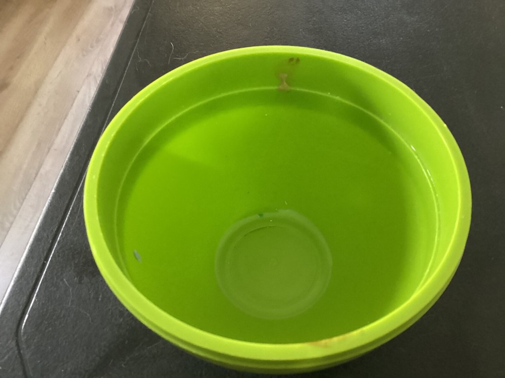 Large Green and Clear Plastic Storage Apple
