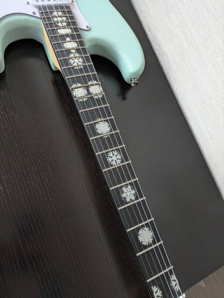 Donner Electric Guitar Stratocaster Type