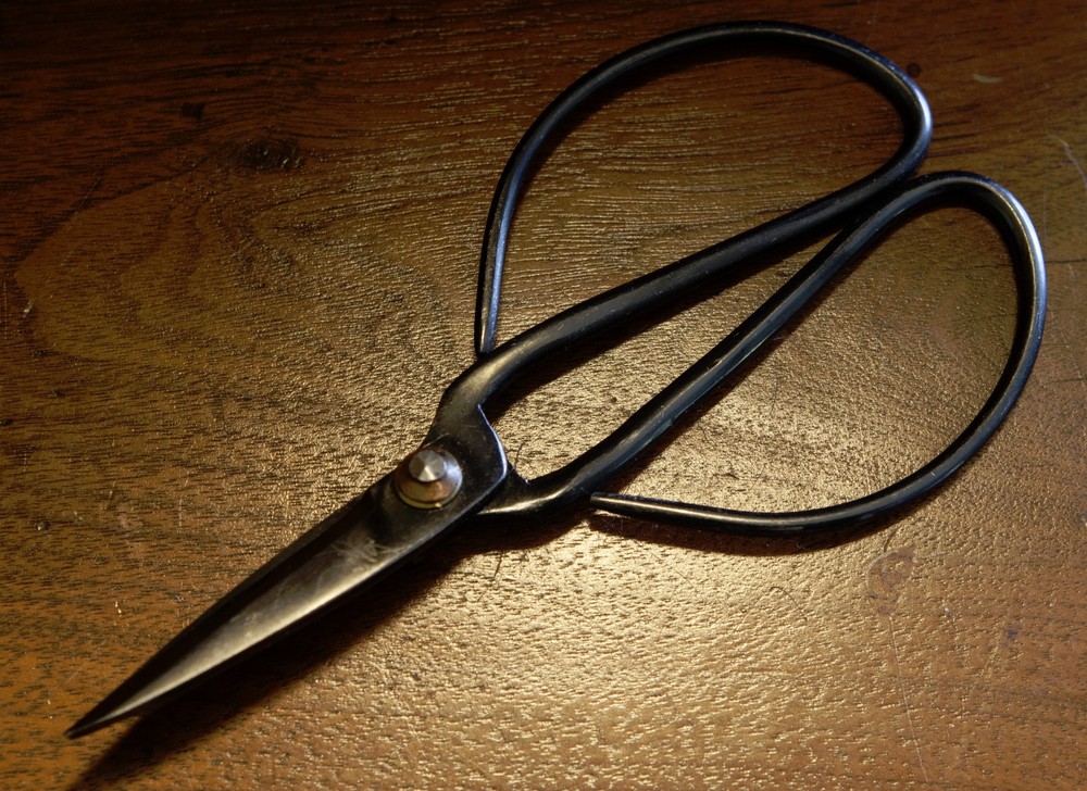 Antique Florist's Scissors
