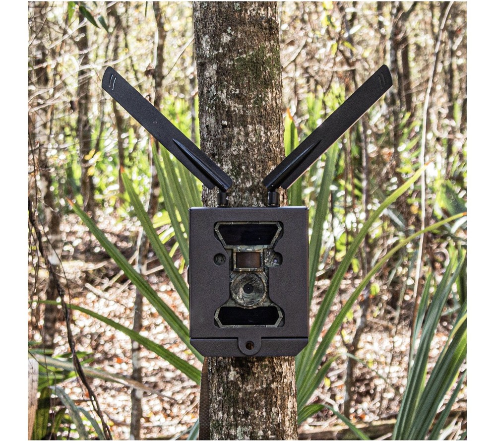 WiseEye Technologies Security Bear Box #WEMETALBOX-1