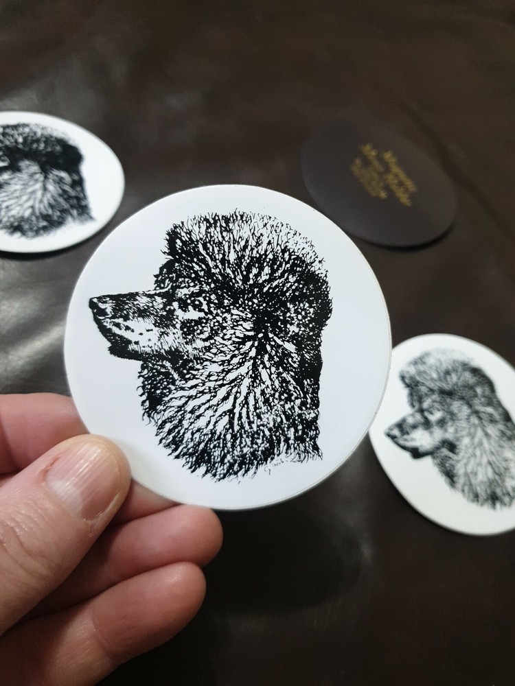 Poodle set - Magnets / Stickers and keyring