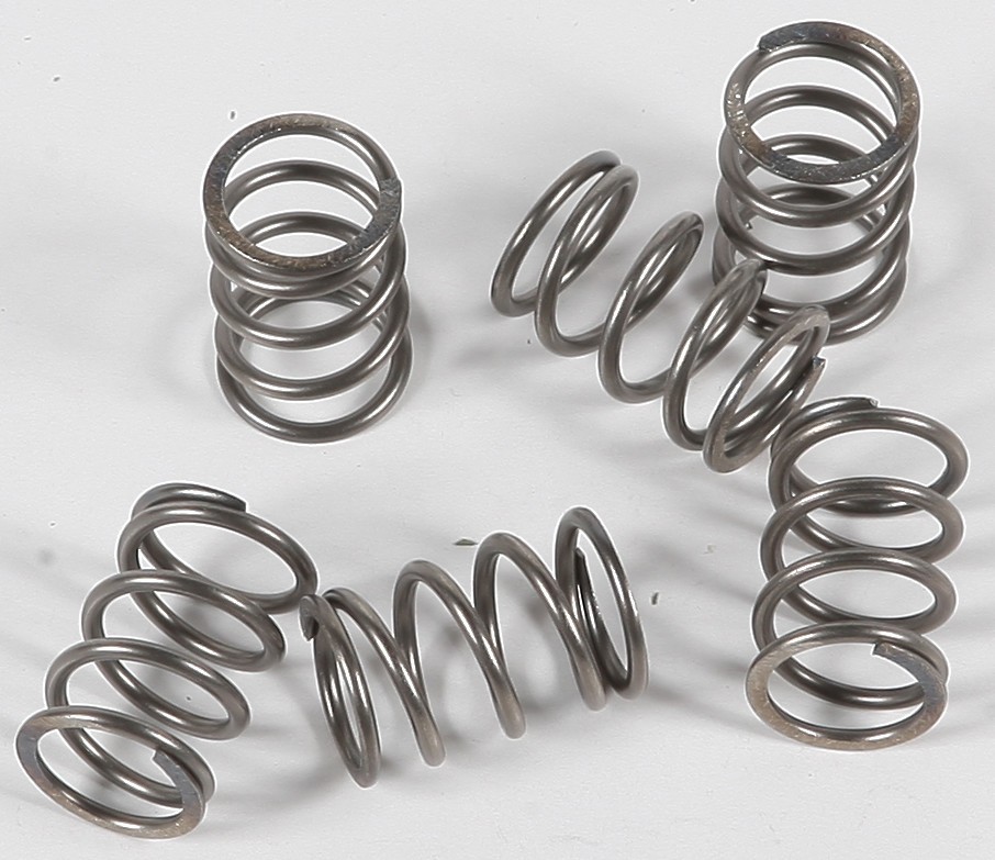 EBC CSK Clutch Spring Kit #CSK197