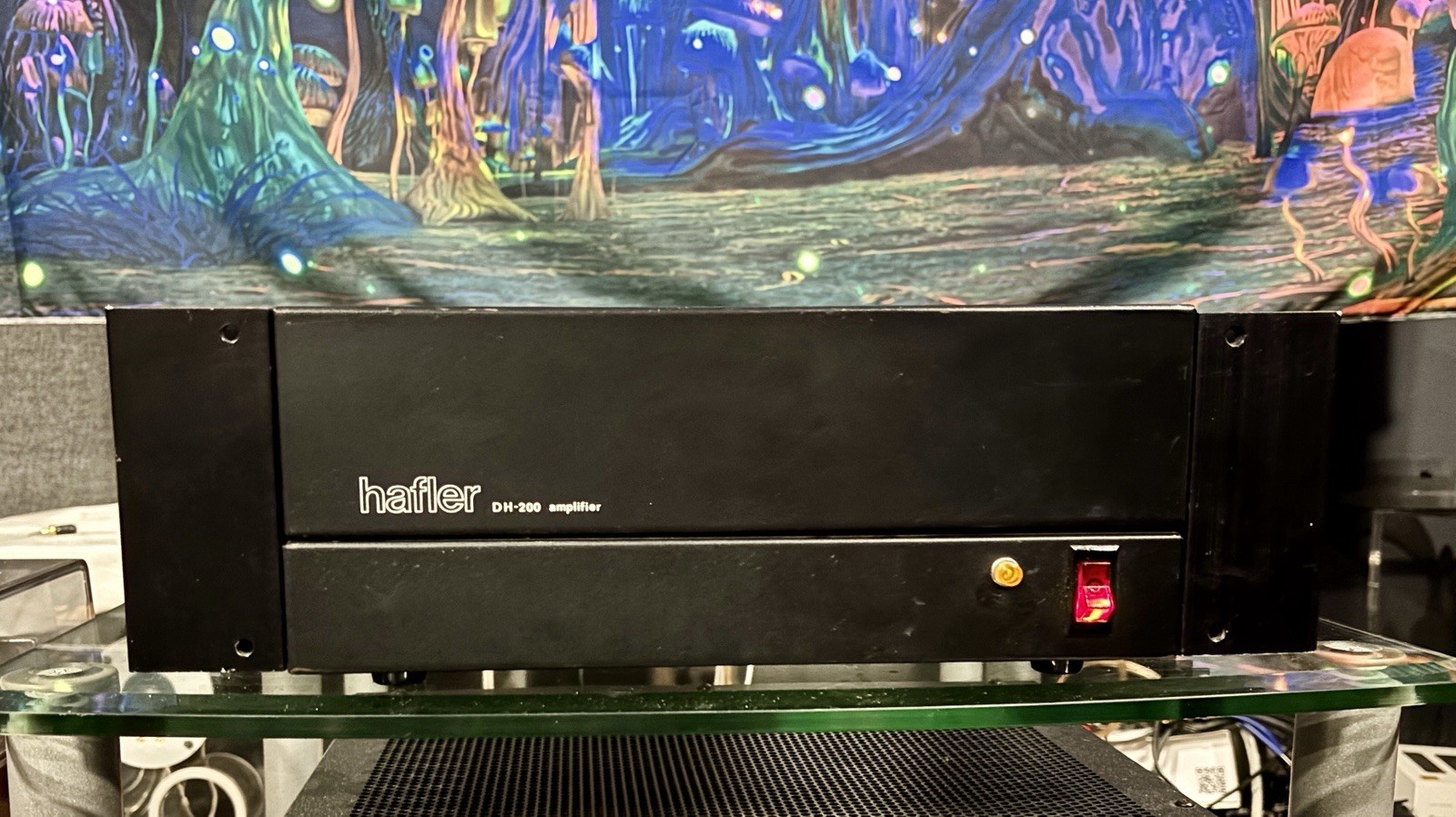 Hafler DH-200 Audiophile Stereo Power Amplifier Tested & Working Great