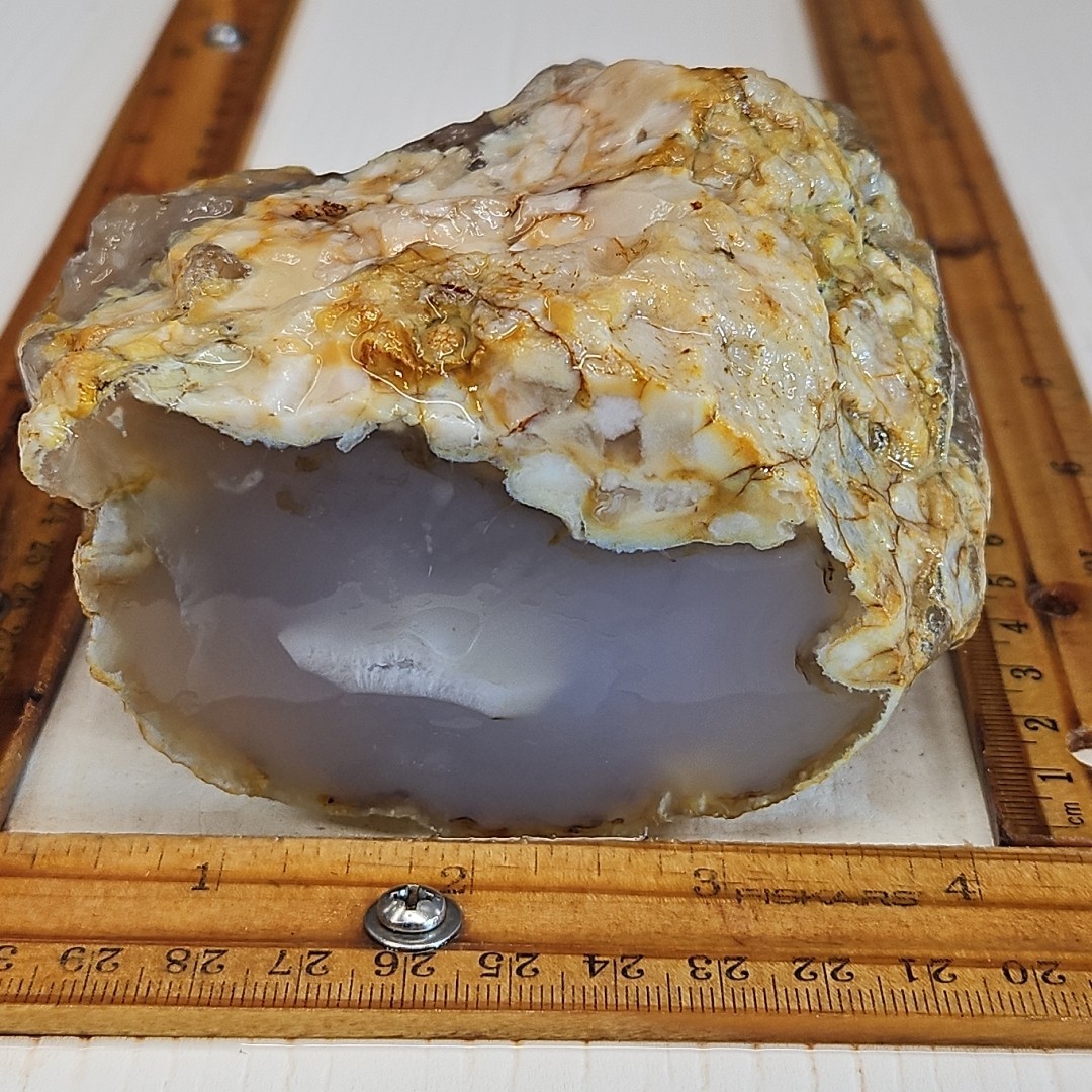 Flower Agate, Madagascar, beautiful color, flower like dendrites 1LB 15.5oz.