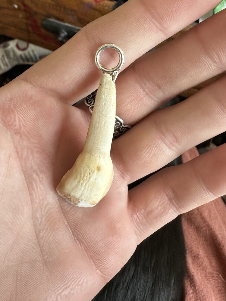 Cow Tooth Pendant