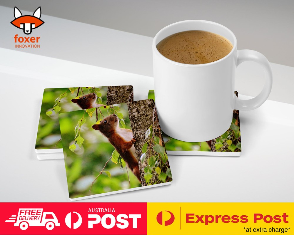 COASTER COFFEE DRINKING MAT|CUTE ADORABLE SQUIRREL RODENT #5