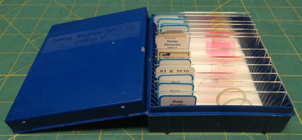 (14 Pack) Misc. Brands Human Themed Prepared Microscope Slides Storage in Box