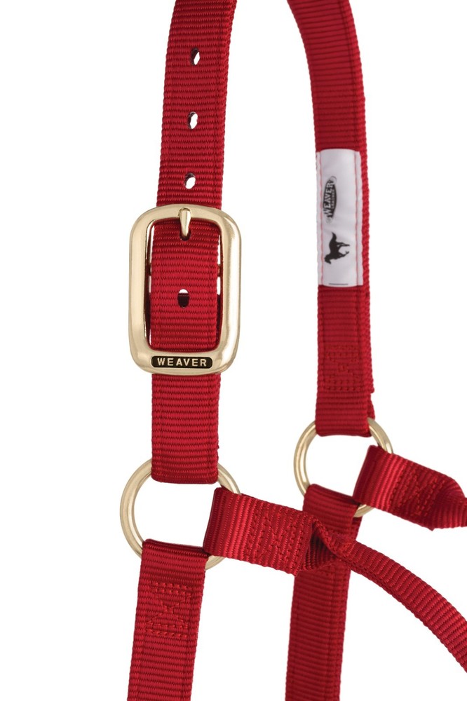 Original Non-Adjustable Halter , 1" Red